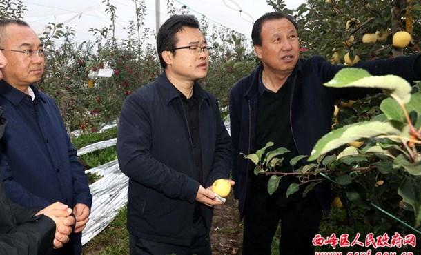 孔衛(wèi)濤調研秋季農業生產工作